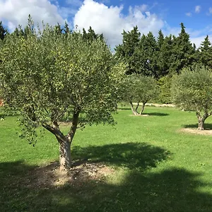 Terre Des Anges Bed & Breakfast
